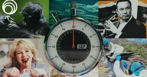 September month in a minute image, collection of news story images with timer